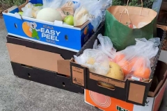 Food-essentials-delivery-11